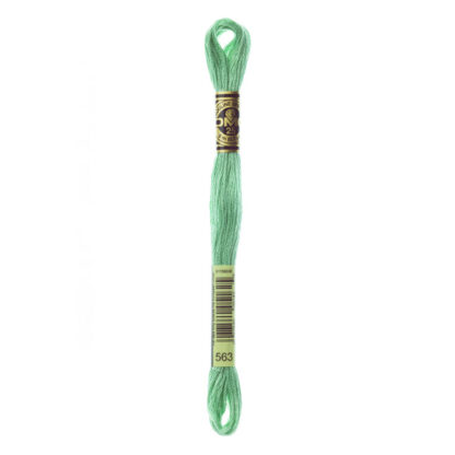 DMC - Six-Strand Embroidery Floss - 563 - Lt Jade - 8m