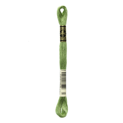 DMC - Six-Strand Embroidery Floss - 989 - Forest Green - 8m