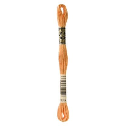 DMC - Six-Strand Embroidery Floss - 3854 - Md Autumn Gold - 8m
