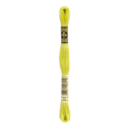 DMC - Six-Strand Embroidery Floss - 12 - Tender Green - 8m