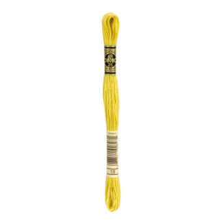 DMC - Six-Strand Embroidery Floss - 18 - Yellow Plum - 8m
