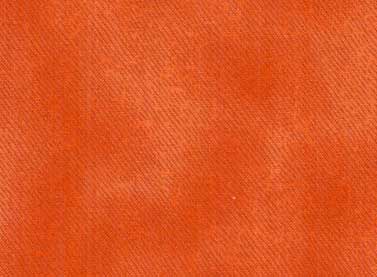 Horsing Around - "Denim" Texture - Orange - By Desiree for Red R