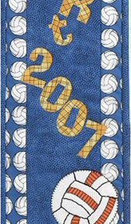 P89 - Volleyball - Wall Hanging Pattern