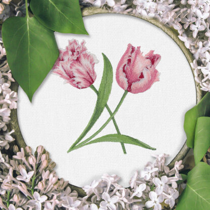 OESD - Embroidery Design - Evelyn's Etched Tulips by Jackie Robinson