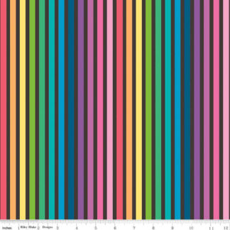 Make - 13421 - Rainbow Stripe - BLK - Riley Blake