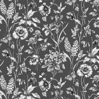 Graphite - TTCD1812-SLA - Buttercup Floral Sketch - Slate - Timeless Treasures