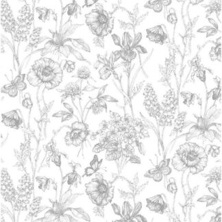 Graphite - TTCD1812-WHT - Buttercup Floral Sketch - White - Timeless Treasures