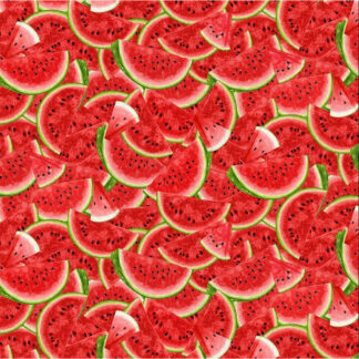 Watermelon Party - Slices - CD1922-MULTI