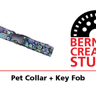 Class - Bernina Creative Studio Project: Pet Collar